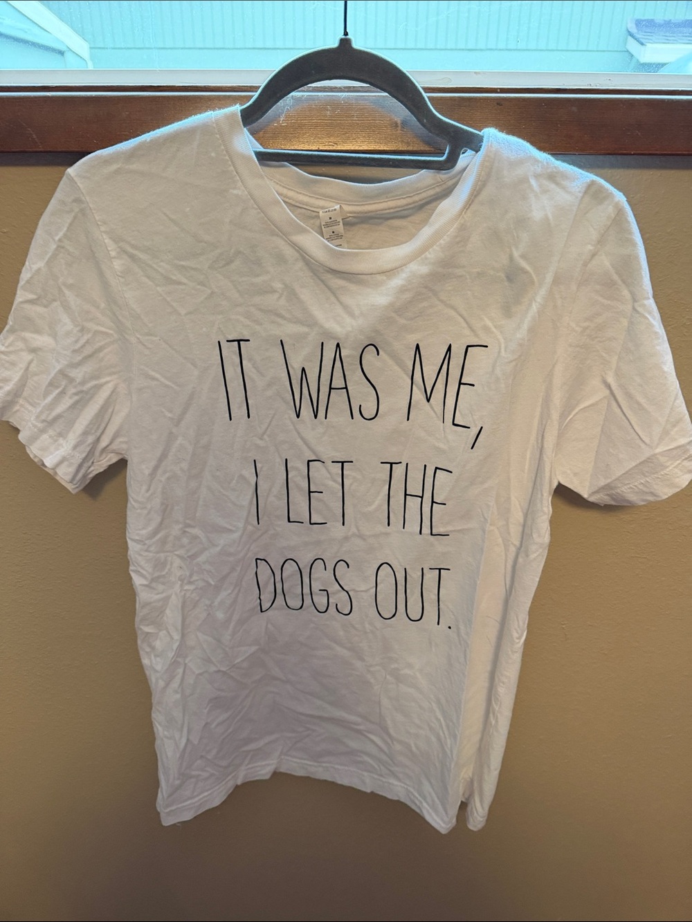 Bella Canvas White Graphic Tee - 'It Was Me, I Let The Dogs Out'
